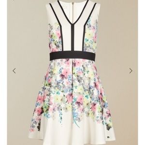 Brand new with tag Ted Baker dress